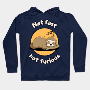 Not fast not furious - cute & funny sloth pun Hoodie